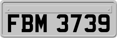 FBM3739