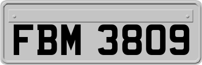 FBM3809