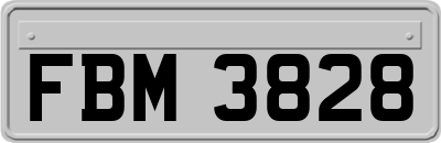 FBM3828