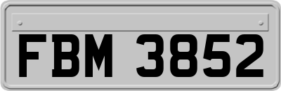 FBM3852