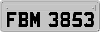 FBM3853