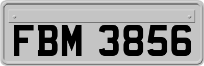 FBM3856