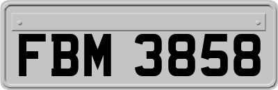 FBM3858