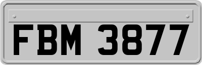 FBM3877