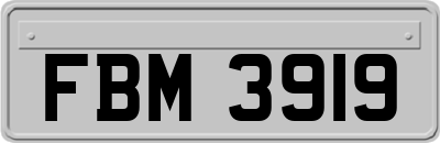 FBM3919