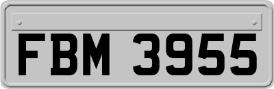 FBM3955