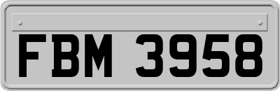 FBM3958