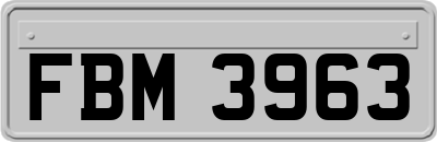 FBM3963