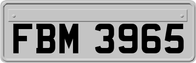 FBM3965