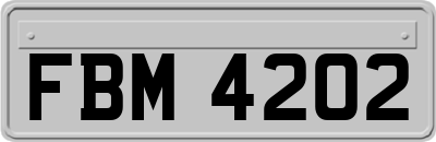 FBM4202