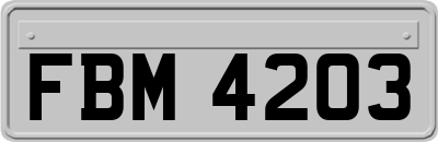 FBM4203