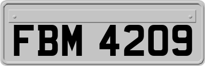 FBM4209