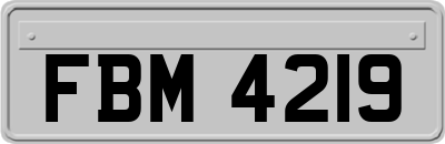 FBM4219