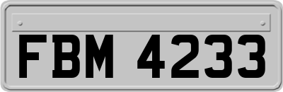 FBM4233