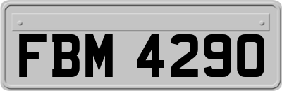 FBM4290