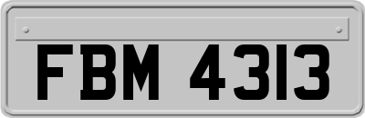 FBM4313
