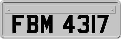 FBM4317