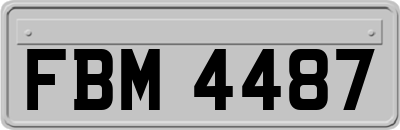 FBM4487