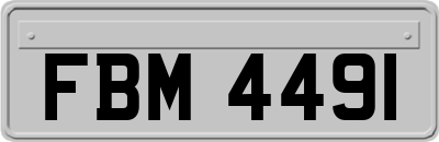 FBM4491
