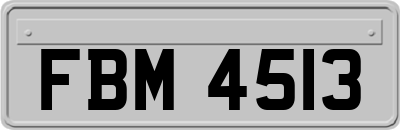FBM4513