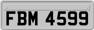 FBM4599