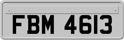 FBM4613