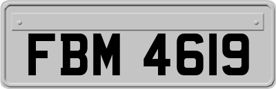 FBM4619