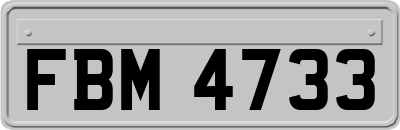 FBM4733