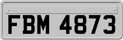FBM4873