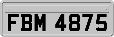 FBM4875