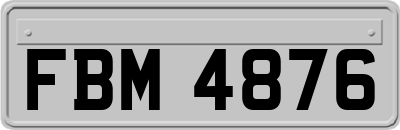 FBM4876