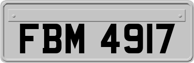 FBM4917