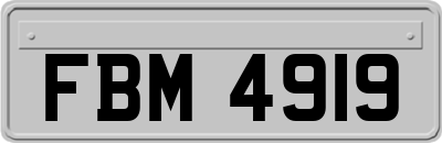 FBM4919