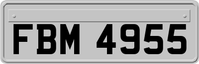 FBM4955