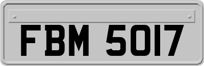 FBM5017