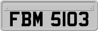 FBM5103
