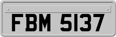 FBM5137