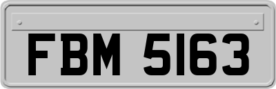 FBM5163