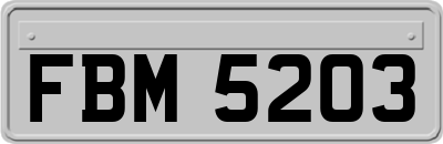 FBM5203