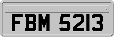 FBM5213
