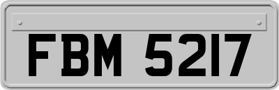 FBM5217