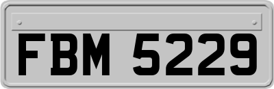FBM5229