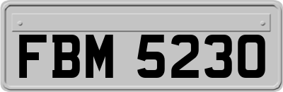 FBM5230