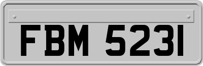 FBM5231