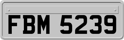 FBM5239