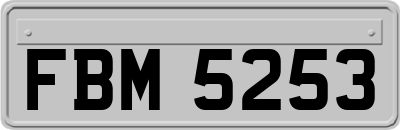 FBM5253