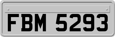 FBM5293