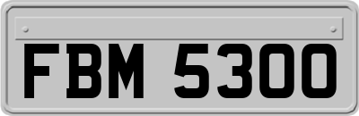 FBM5300