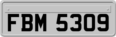 FBM5309