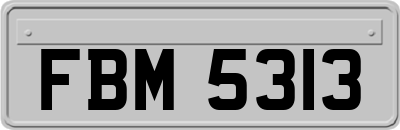 FBM5313